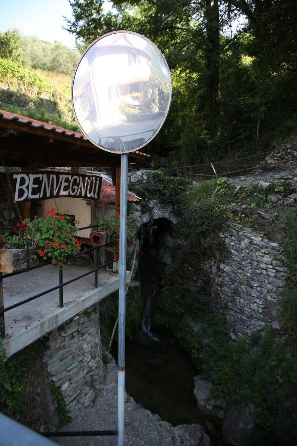 A Ca Du Barbijun Villa Pieve di Teco ภายนอก รูปภาพ
